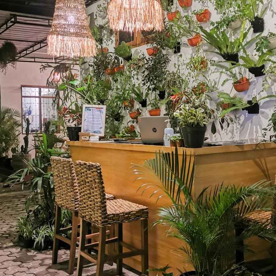 Albergue Snooze Ijen Banyuwangi  Exterior foto
